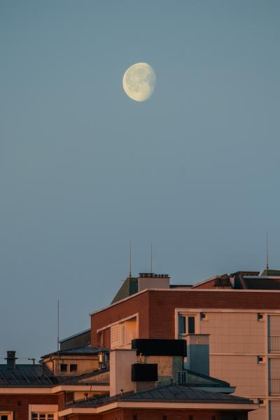 media_6818912dcaf883.32880656.jpg