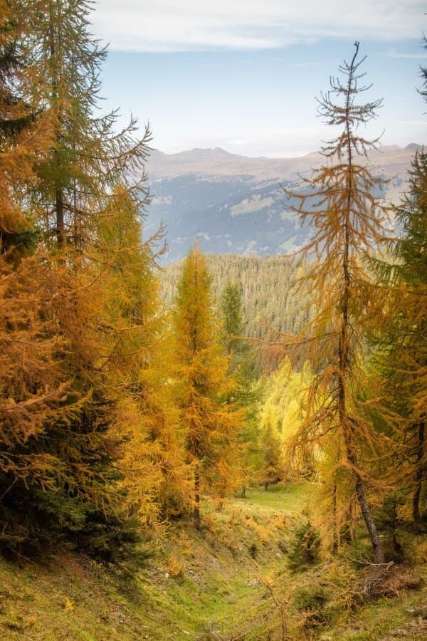 Switzerland in Orange